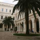 Disposte simmetricamente come i fuochi di un'ellisse, spiccano all'interno del cortile due palme, piantate su altrettante aiuole che nel mese di maggio si colorano di rosso grazie alla fioritura delle rose